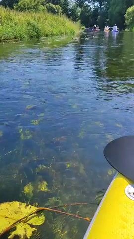 A first-person perspective video shows a clear, shallow river with abundant aquatic plants visible below the surface. The water is calm and reflects the blue sky. On the right side of the frame, a yellow inflatable boat and a black paddle are partially visible. In the distance, several people are paddleboarding or kayaking down the river, surrounded by lush green vegetation on the banks. The sun is shining, creating a bright and pleasant atmosphere.