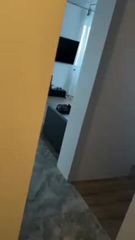 From behind a partially visible yellow wall, a dimly lit interior is revealed, offering a glimpse into a living space. The focus gradually zooms in on a dark gray cat, lying nearly concealed under a folded gray garment on top of a dark gray sofa. The sofa is situated on a gray marble floor. Further into the room, elements such as a black television and a window with sheer white curtains are visible. The interior design leans towards modern, with the room's walls painted in variations of white and gray. The overall ambiance is still and quiet, with the cat at rest being the primary focal point.