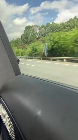 The video shows a view from inside a vehicle, looking out the side window at a highway. The highway is paved with white lines, indicating multiple lanes. On the right side of the highway, there is a guardrail. Beyond the guardrail, there is a dense forest of green trees. The sky is blue with scattered white clouds. The overall scene depicts a landscape view from a moving vehicle on a sunny day.