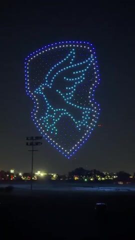 The video shows a drone light show at night. In the first few seconds, a formation of drones displays a large, shield-shaped image in the sky, filled with blue and green lights. Within the shield, the silhouette of a bird in flight is visible, also formed by lights. The bird's wings are spread, and it appears to be flying towards the right side of the frame. The lights forming the bird and the shield are mostly blue and teal, with some white and yellow lights along the outer edge of the shield. Below the drone display, a dark landscape is visible with a few distant lights from a town or city. There is a tall pole with lights on top in the left foreground. As the video progresses, the drone formation begins to break apart. The bird image dissolves into scattered lights, and the shield outline also diminishes. By the end of the video, only a few individual lights and red blinking lights are visible against the dark night sky. The overall scene is one of a nighttime spectacle, transitioning from a cohesive drone formation to dispersed lights.