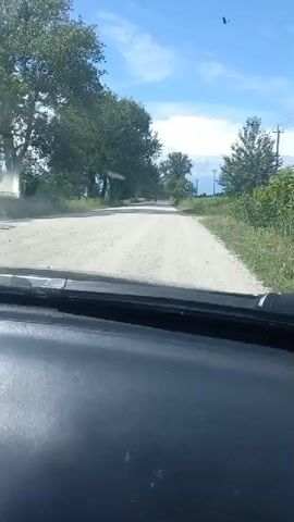 This is a first-person perspective video shot from inside a vehicle, likely a car, as it drives along a rural road. The road is unpaved, appearing to be made of gravel or dirt, and curves gently into the distance. Flanking the road on both sides is lush green vegetation, with tall trees casting dappled shadows on the road surface. In the distance, a few more trees are visible, and beyond them, a wider expanse of green fields stretches towards the horizon. A single utility pole stands on the right side of the road.

The sky is a clear, bright blue with scattered white clouds, suggesting it is daytime, likely late morning or afternoon. The sun is shining, creating a pleasant, warm atmosphere. The overall mood of the video is peaceful and serene, evoking a sense of a quiet drive through the countryside. There are no people visible in the frame, only the interior of the vehicle, the road, and the natural landscape. The location is identified as Cepeleuți, Moldova. There is no visible text in the video.
