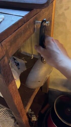 Dead lizard discovered inside cooking pan in Kediri
