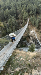 Porter crosses mountain bridge in Nepal's blooming rhododendron season