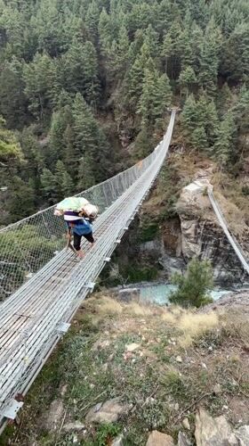 Porter crosses mountain bridge in Nepal's blooming rhododendron season