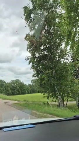 A video shows a cloudy sky from inside a car. The camera is pointed forward through the windshield. A dirt road is visible in the foreground, with a grassy field and trees lining the right side of the road. In the distance, a few houses are visible in the field. A small bird is seen flying in the sky at the beginning of the video. The view pans slightly to the right as the car moves.