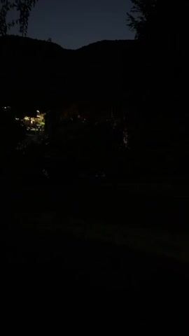 The video is a low-light recording of an outdoor scene at night. The frame is predominantly dark, with some subtle illumination from distant lights visible on the left side, appearing to emanate from buildings. A dark silhouette of a hillside or mountain range is visible against a dimly lit sky at the top of the frame. Trees and foliage are present throughout the mid-ground and foreground, appearing as dark masses. The ground in the foreground seems to be covered with grass or other low vegetation. No distinct people or animals are clearly discernible due to the low light conditions. The overall atmosphere is still and quiet, with no discernible sounds.
