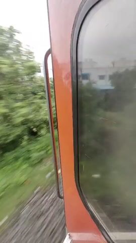 The video shows a view from inside a moving train, looking out a window. The train is red and white. Outside the window, there is lush green vegetation that appears blurred due to the train's motion. In the background, there are buildings and trees. The sky is overcast.