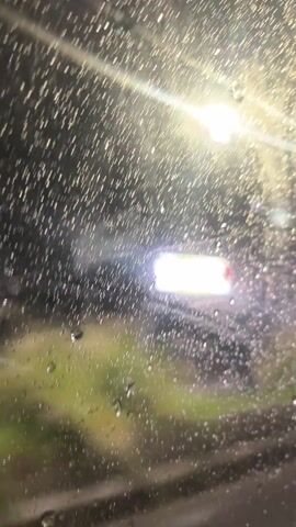 The view is from inside a vehicle looking out a rain-covered window at night. Raindrops are visible on the glass. Streetlights and building lights glow in the background, creating blurred and distorted images through the raindrops. There is some dark green foliage visible near the bottom of the frame, likely vegetation. The scene gives a general impression of a rainy night in an urban or suburban environment. Traffic passes by.