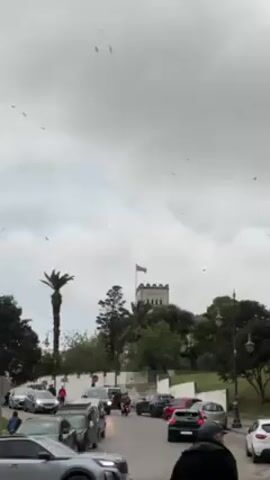 The video presents an eye-level shot of a bustling street scene set against a cloudy sky. In the background, there's a tower-like building with a flag waving atop it. Surrounding the building are several trees, including a palm tree, which is visible on the left of the frame. In the foreground, there's a line of cars parked on the side of the street, with more vehicles traveling on the road. There are several pedestrians walking on the sidewalk, some passing in front of the camera. Many birds are flying in the sky.