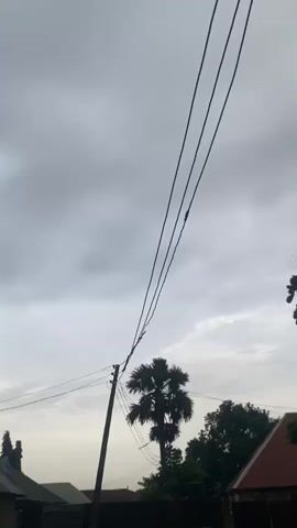 This video is an outdoor shot of a cloudy sky with telephone wires in the foreground. A utility pole is visible on the left side of the frame. In the background, there are trees, including a palm tree, and a building with a red roof. The overall lighting suggests it is either early morning or late evening, or possibly overcast weather.