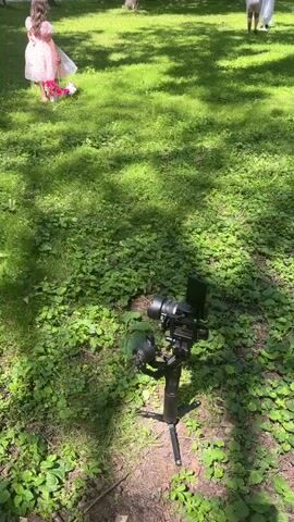 A young girl in a pink dress stands in a grassy park with a basket of flowers at her feet. A camera on a tripod is set up in the foreground. The girl is looking away from the camera. The sun is shining through the trees.