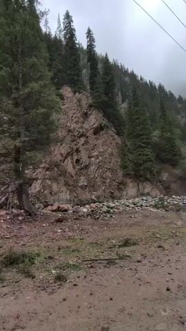 This video captures a panoramic view of a mountainous landscape in Dzhetyoguz, Kyrgyzstan. The scene features a steep, rocky mountain slope covered in dense evergreen forest, likely fir or spruce trees. The rock face itself has a distinct reddish-brown color, with various geological formations visible. At the base of the mountain, there's an accumulation of rocks and sparse greenery.

In the foreground, a rough dirt road or path stretches across the frame, characterized by uneven terrain, scattered pebbles, and patches of dry grass and moss. A prominent, tall evergreen tree stands to the left of the frame, its branches swaying gently in what appears to be a light breeze.

The sky is overcast and bright, suggesting a cloudy day without direct sunlight. The overall ambiance is serene and natural, showcasing the rugged beauty of the mountainous region. There are no people, animals, or visible text in the video. The camera performs a slow, smooth pan from left to right, allowing the viewer to take in the breadth of the scenery.