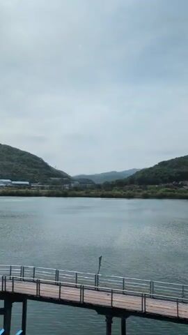 The video presents a serene daytime landscape, likely recorded in Yangsan-si, South Korea. It opens with a view through the green leaves and branches of a tree, revealing a calm body of water in the middle ground and gently sloping hills covered in dense greenery on the far side. The sky is bright and appears to be partly cloudy.

As the video progresses, the camera smoothly pans upwards at 0:01, showcasing more of the bright, pale blue sky with wispy white clouds. It then pans downwards from 0:02, focusing on the wide expanse of water, which exhibits small ripples on its surface, suggesting a light breeze. The distant shore is clearly visible, featuring undulating hills completely covered in lush green trees. Some small, light-colored structures or buildings are interspersed among the trees on the far bank. Power lines or utility poles can be faintly discerned on the distant hills. The camera's movement briefly brings tree branches back into the foreground at 0:04, partially obscuring the view of the water and hills.

No people or identifiable objects are visible other than the natural elements and distant structures. The scene conveys a sense of tranquility and natural beauty. No text is visible in the video.