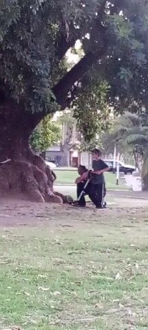 The video shows a boy using a metal detector near a large tree in a park. He is wearing a hat, a dark shirt, and black pants with a white stripe. Two men are sitting at the base of the tree. One is kneeling down and the other is sitting. The park has grass and other trees in the background. A street with cars is visible in the distance.