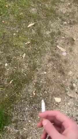 The video starts with a close-up of a hand holding a lit cigarette, against a background of ground covered with grass, leaves, and pebbles. The camera pans up to reveal a wider view of a natural landscape. A dirt path runs alongside a grassy area, leading towards a vista of rolling hills covered with trees. The sky is overcast with grey clouds. The video emphasizes the outdoor setting, with a focus on the natural environment, under a cloudy sky.