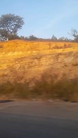 The video depicts a landscape from a moving vehicle, showcasing a steep, layered hill with sparse vegetation. The hill has a golden hue, potentially due to the time of day or the type of soil. Trees are visible atop the hill against a clear blue sky. A paved road runs along the base of the hill. The focus is on the natural terrain and roadside view.