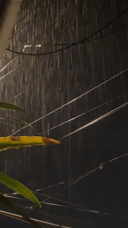 Heavy nighttime rainfall documented across Davao City streets