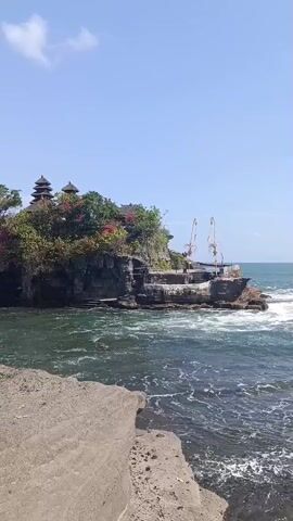 A vertical video captures a scenic view of a temple situated on a cliff overlooking the ocean. The temple, with traditional tiered roofs, is adorned with vibrant pink flowers and lush greenery. Below the temple, the ocean churns with white-capped waves crashing against the rocky shore. In the foreground, a textured rock formation juts out towards the water. The sky is a clear, bright blue with a single wispy cloud. The overall impression is one of natural beauty and architectural grandeur.