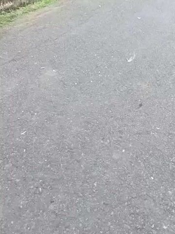 The camera is held at ground level and faces down a paved road with a patch of grass and low concrete barriers on either side. The road is grey with small pebbles embedded in the asphalt and several small pieces of debris on its surface. Someone is standing near the camera, out of view, and makes a popping sound, perhaps by popping a balloon.
