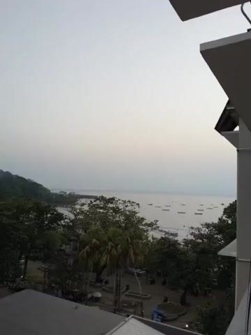 The video shows a wide shot of a coastal scene with a calm body of water in the background, dotted with numerous small boats. Lush green hills rise on the left side of the frame, sloping down towards the water. In the foreground, a street or pathway is visible with trees lining it, some of which appear to be palm trees. Several buildings with grey roofs are also present in the lower part of the image. The sky is overcast and appears to be at either dawn or dusk, as indicated by the soft, diffused light. No people are clearly discernible in the frame, and the overall atmosphere is tranquil. The video seems to be taken from a slightly elevated position, possibly from a balcony or window of a building.
