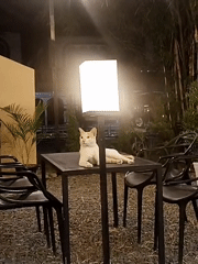 Nighttime cafe dining area observed in Lhokseumawe, Indonesia