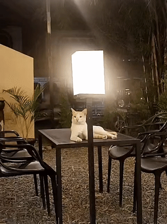 Nighttime cafe dining area observed in Lhokseumawe, Indonesia