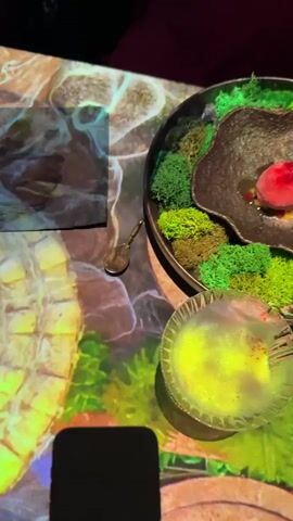 The media file captures a close-up, overhead view of a unique dining experience. The scene is set on a table with a projected image of a natural, earthy landscape that includes moss and what appear to be stone textures. In the center of the frame is a dark, intricately shaped dish presented like a natural formation, possibly a volcanic crater, filled with a vibrant red sphere, resembling a fruit or dessert, nestled amongst colorful moss and small nuts. To the right of this main dish, there's a small, clear glass bowl containing a bright yellow, frothy liquid. Further to the right, a wine glass is visible. The overall presentation suggests a highly curated and artistic culinary presentation.

The activity taking place is dining, with the focus on the aesthetic appeal of the food and its surroundings. The lighting is dim, creating an intimate atmosphere, and the projected imagery on the table suggests an immersive dining experience, possibly in a restaurant. There are no people clearly visible, but the presence of cutlery and glasses implies multiple diners. The time of day is not explicitly stated, but the indoor setting and mood lighting suggest it could be evening or nighttime.

Notable details include the detailed texture of the projected table surface, the artistic arrangement of the moss and the red sphere in the main dish, and the contrasting vibrant yellow of the liquid in the side bowl. The dish itself is a focal point, designed to evoke a natural, perhaps primal, theme. The presence of a smartphone on the table suggests a contemporary dining setting. While there is no visible text within the frame itself, the context provided indicates the location is Moscow, Russia. The overall impression is one of a luxurious and experiential meal.