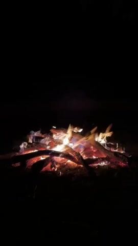 A campfire is burning in the dark. The flames are a mix of orange, yellow, and white, with some blue visible at the base. The fire is composed of logs and branches. Sparks are occasionally visible flying from the fire. The background is completely black, indicating a nighttime setting. The scene is static, with no visible movement other than the flames and sparks.