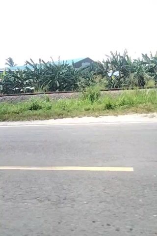 A video shows a road next to a railway line with a building and trees. The video is sideways, making it difficult to distinguish certain details.