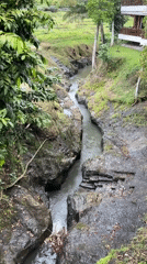River scenes and lotus flowers documented in Ubud District
