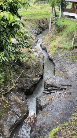River scenes and lotus flowers documented in Ubud District