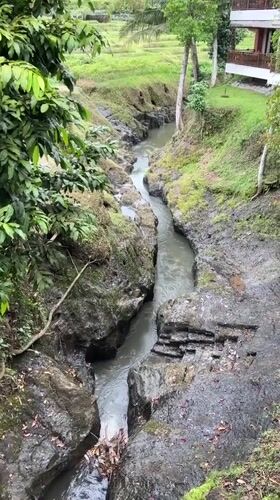 River scenes and lotus flowers documented in Ubud District
