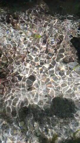 The video shows a close-up view of shallow water flowing over a rocky, pebble-covered seabed. The sunlight refracts through the rippling water, creating shimmering patterns on the stones below. Some bits of green aquatic plant life are visible amongst the pebbles. The water appears clear and shallow, with a gentle current.