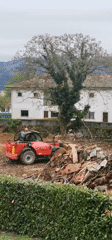 Construction work and rural horse scene captured simultaneously