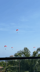 Paragliders spotted overhead while puppy enjoys shared popsicle