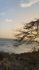Sunset filmed over coastal landscape in Pedro González, Venezuela