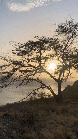Sunset filmed over coastal landscape in Pedro González, Venezuela