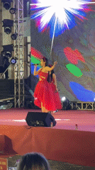 Nha Trang street festival with live performances and cultural displays