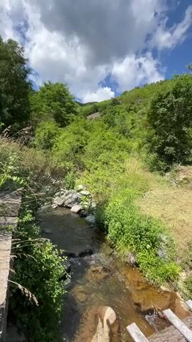 This video shows a slow camera pan across a natural landscape. In the foreground, a shallow stream flows over rocks. A rustic wooden bridge crosses the stream. The banks of the stream are covered in lush green vegetation. In the background, a steep, tree-covered hill rises under a bright blue sky with scattered white clouds. The overall impression is one of a serene, natural environment.