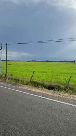The video shows a view from a moving vehicle looking towards a bright green field of rice under a dramatic sky. The sun is shining intensely from the upper right, creating a bright ray that streaks across the frame. There are dark storm clouds in the upper left quadrant of the sky. A thin, faint rainbow is visible in the distance, arching over the field. A utility pole with wires and a circular loop of cable stands on the left side of the road. A small, dark bird is perched on the wire. A slender white pole with black markings and numbered increments from 0 to 4 is visible on the right side of the road, likely a water level marker. Wooden fence posts are sparsely placed along the edge of the field. The road in the foreground is asphalt. The overall impression is of a rural landscape during or after a rainfall, with contrasting elements of sunshine and storm clouds.