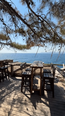 Lazy afternoon at a pine-framed coastal spot in Fethiye