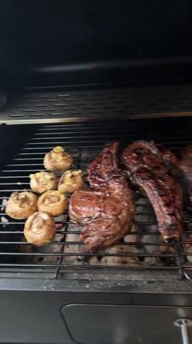 Outdoor barbecue cooking documented in Russian forest setting
