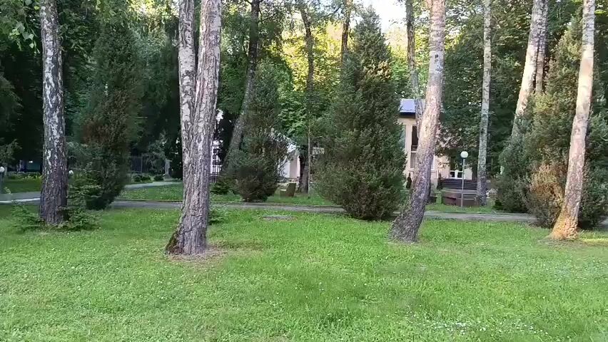 This media file is a video showcasing a park or garden area with a focus on lush greenery and trees. The scene is set during the daytime, likely late afternoon or early evening, given the soft, diffused light filtering through the trees and casting gentle shadows. The weather appears pleasant and calm, with no indication of wind or rain.

The primary subjects are the numerous trees, which vary in type and size. Prominent among them are tall, slender birch trees with their characteristic white bark, interspersed with dark green, conical evergreen trees that resemble cypresses or junipers. The ground is covered in a well-maintained green lawn, dotted with small white wildflowers. A paved pathway winds through the park, suggesting it is a public or recreational space. In the background, a building with a light-colored facade and windows is visible, hinting at a structure like a house, guesthouse, or facility within the park. There are also hints of outdoor furniture, such as benches, near the building.

A single person, seen from the back, is walking along the pathway. They are wearing a light-colored t-shirt and dark shorts. Their presence suggests a peaceful, leisurely activity, possibly a stroll or enjoying the park's ambiance. There are no other people or significant objects that draw immediate attention, keeping the focus on the natural environment.

The overall mood conveyed by the video is one of tranquility and natural beauty. The vibrant green of the vegetation and the dappled sunlight create a serene and inviting atmosphere. While the specific location is identified as Khmilnyk, Ukraine, the visual cues of the flora and the architectural style of the background building do not provide further specific geographical markers beyond what is known. No text is visible in the video.