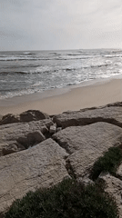 Coastal beach area documented from multiple vantage points