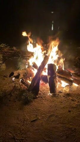This media file captures a warm and inviting bonfire at night. The flames are bright and lively, casting a warm glow on the surrounding sandy ground. Several logs of various sizes are piled together, feeding the fire. Some pine branches are visible to the left of the fire, suggesting a natural, possibly wooded, environment. The ground is sandy with clear footprints imprinted on it, indicating recent human activity. The overall atmosphere is peaceful and serene, evoking feelings of comfort and tranquility. The time of day is clearly night, as indicated by the dark background and the prominence of the fire's light. The setting appears to be outdoors, likely a campsite or a designated fire pit area, given the presence of firewood and the natural surroundings. There are no people visibly present in the frame, but the footprints suggest they were recently there or are nearby. The media file has a timestamp overlay at the beginning, reading "00:00" and "00:01" etc., indicating the progress of the video. The overall mood is one of a cozy, natural gathering.
