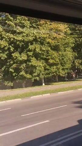 The video shows a view from inside a vehicle looking out at a tree-lined street. There are deciduous trees with green foliage lining a sidewalk. A road with traffic markings is visible in the foreground. Several park benches are present along the sidewalk. The lighting suggests it is daytime.