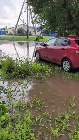 A red hatchback car is parked on the side of a flooded road. The water level is high enough to cover the lower portion of the car's wheels. Green plants and vegetation are growing around the edges of the flooded area. In the background, there are utility poles and some buildings. The sky appears overcast.