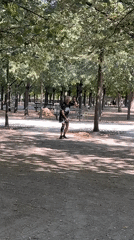 Luxembourg Gardens on a clear summer morning in Paris