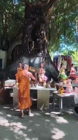 A Buddhist monk in orange robes faces away from the camera, holding a tray with offerings, and appears to be interacting with items on a table. To the monk's right, a woman in a purple top and black pants is kneeling and holding a white bag and a red bottle. Several statues of women in colorful outfits are positioned on a table behind the monk, in front of a large, gnarled tree with hanging vines. The ground is sandy, and sunlight filters through the tree's canopy, creating dappled shadows. Various offerings, including food and drink, are visible on tables.