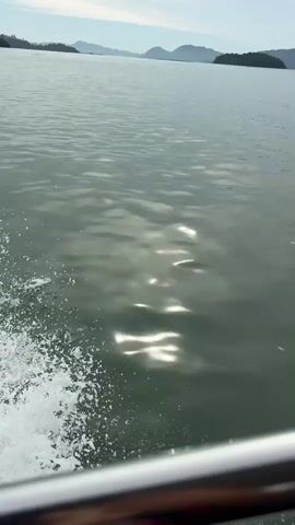 The video shows a body of water with a boat moving through it. The water is choppy with sunlight reflecting off the surface. In the distance, there are mountains and islands. The sky is overcast. There are no people visible in the video.